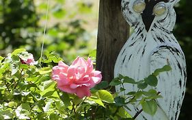 Le Jardin de Marie-Jeanne